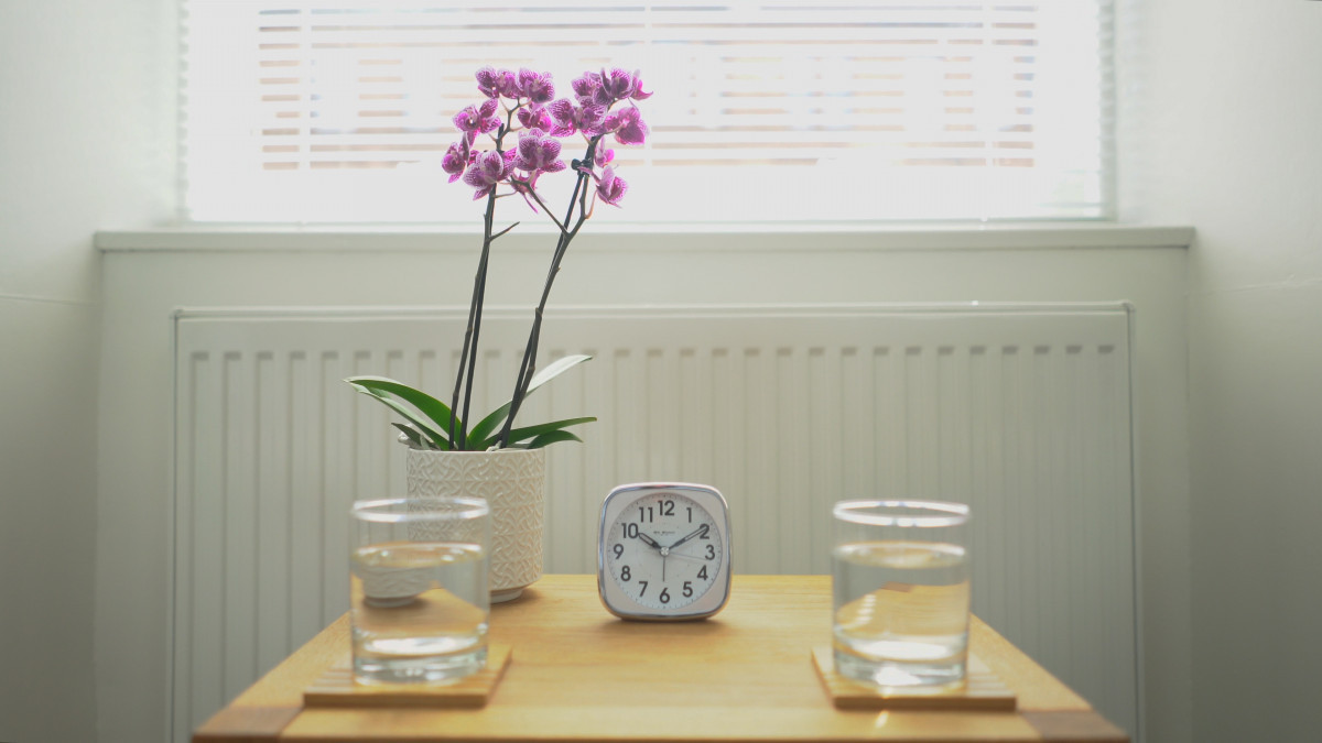 Gestalt Coaching - Unlocking Potential and Growth A client engaged in a Gestalt coaching session, gaining clarity and insight.