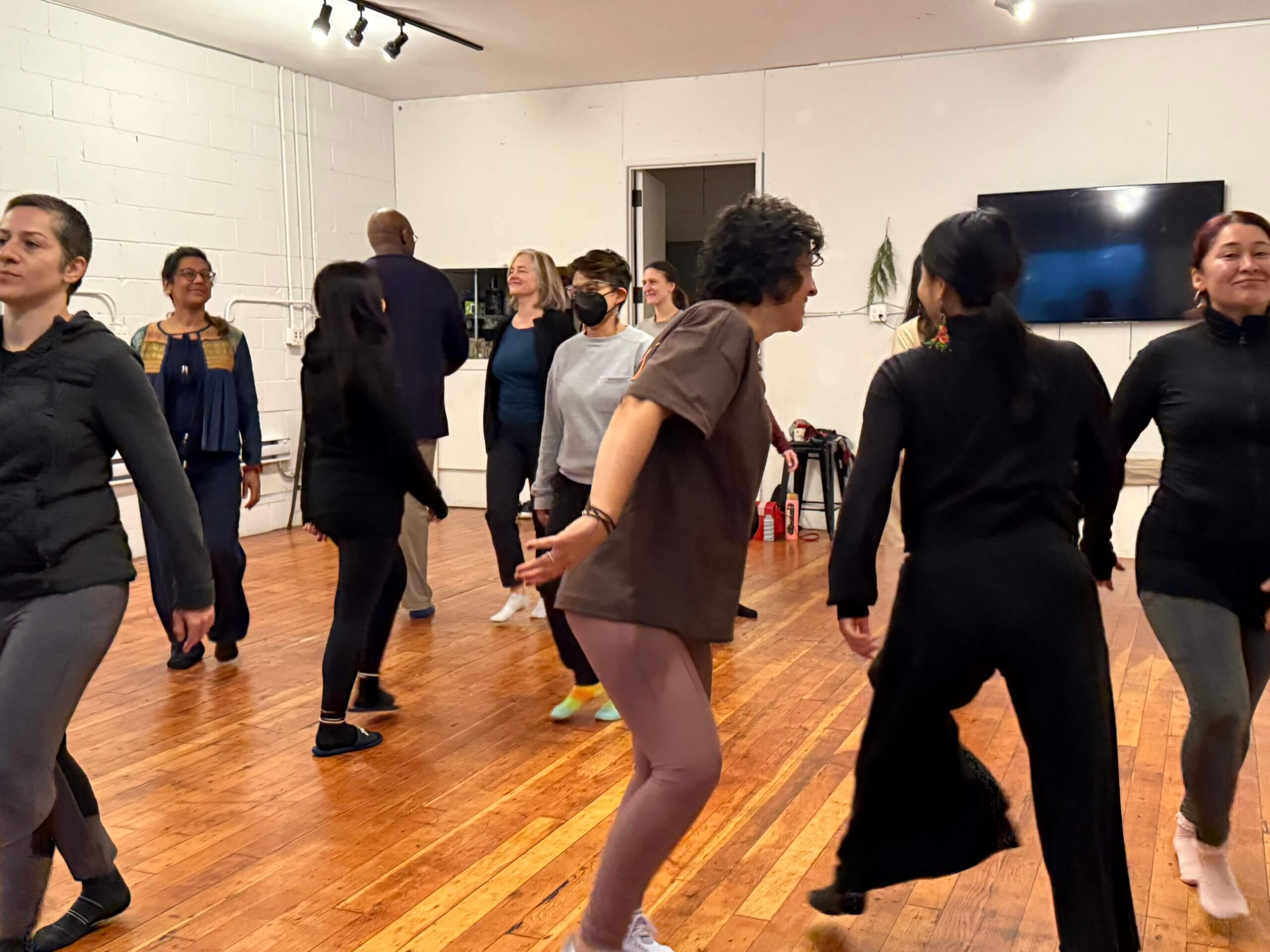 Students joyfully participating in a Biodanza class, expressing vitality and creativity.